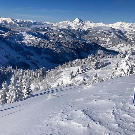 Chalets Savoie Les Chalets D'Heidi Notre-Dame-de-Bellecombe Kültér fotó