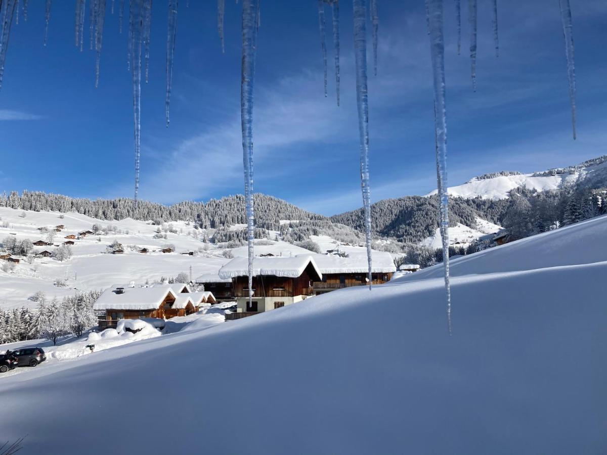 Chalets Savoie Les Chalets D'Heidi Notre-Dame-de-Bellecombe Kültér fotó