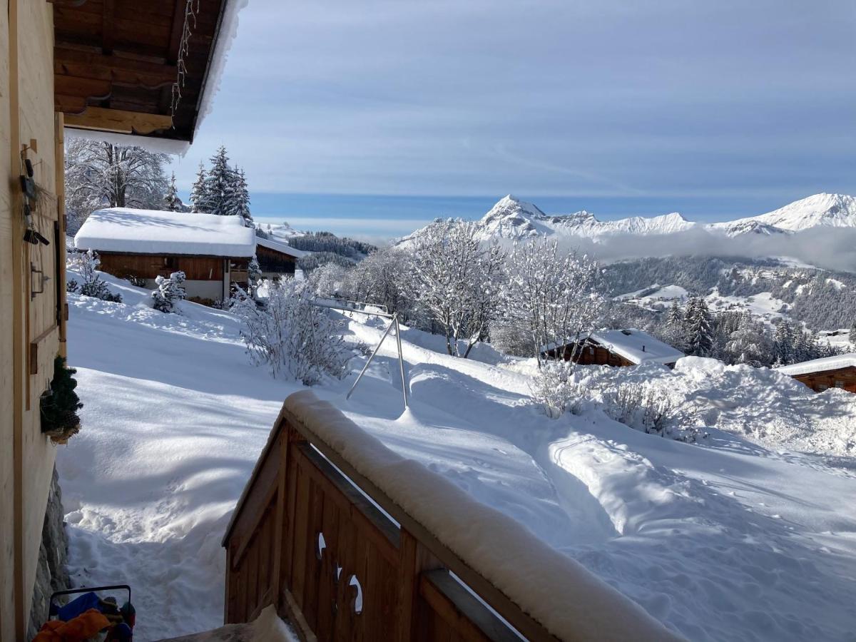 Chalets Savoie Les Chalets D'Heidi Notre-Dame-de-Bellecombe Kültér fotó