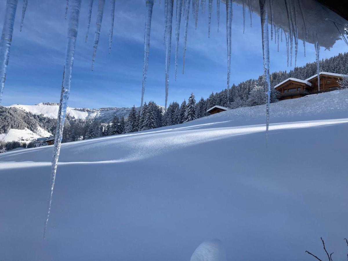 Chalets Savoie Les Chalets D'Heidi Notre-Dame-de-Bellecombe Kültér fotó
