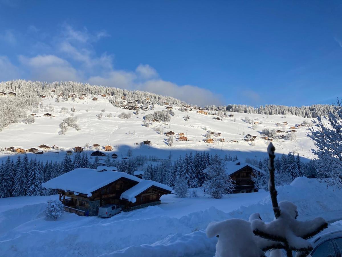 Chalets Savoie Les Chalets D'Heidi Notre-Dame-de-Bellecombe Kültér fotó