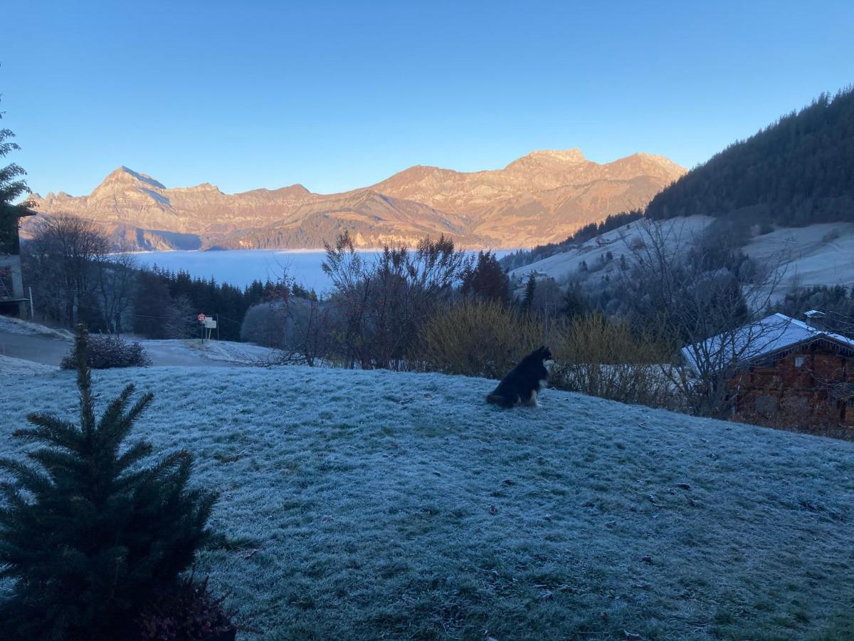 Chalets Savoie Les Chalets D'Heidi Notre-Dame-de-Bellecombe Kültér fotó