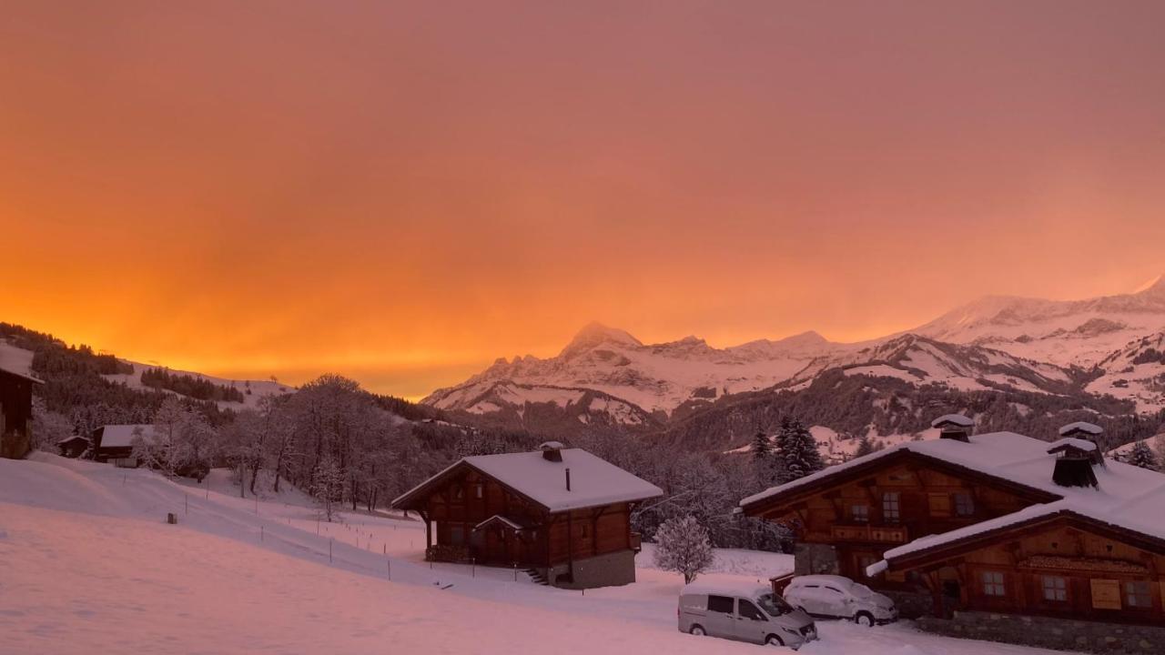 Chalets Savoie Les Chalets D'Heidi Notre-Dame-de-Bellecombe Kültér fotó