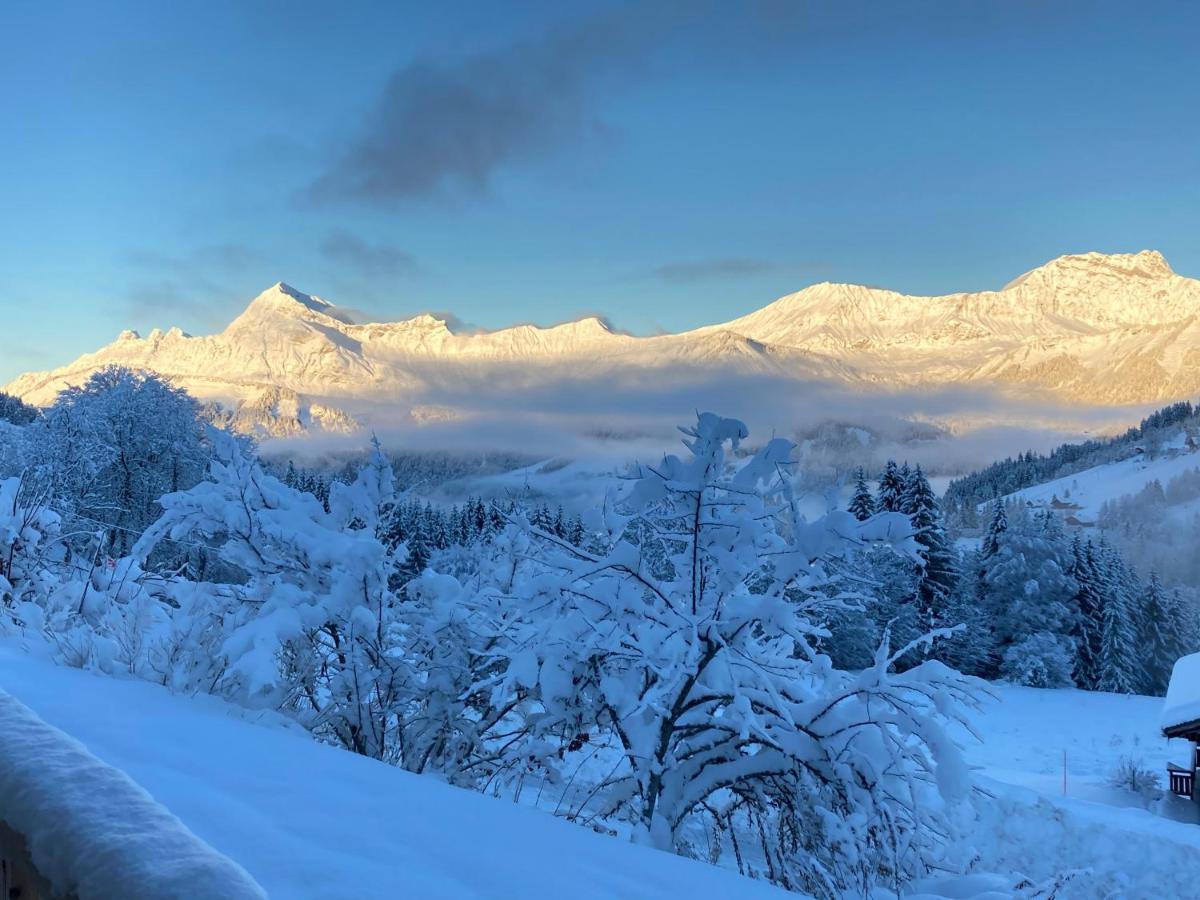 Chalets Savoie Les Chalets D'Heidi Notre-Dame-de-Bellecombe Kültér fotó