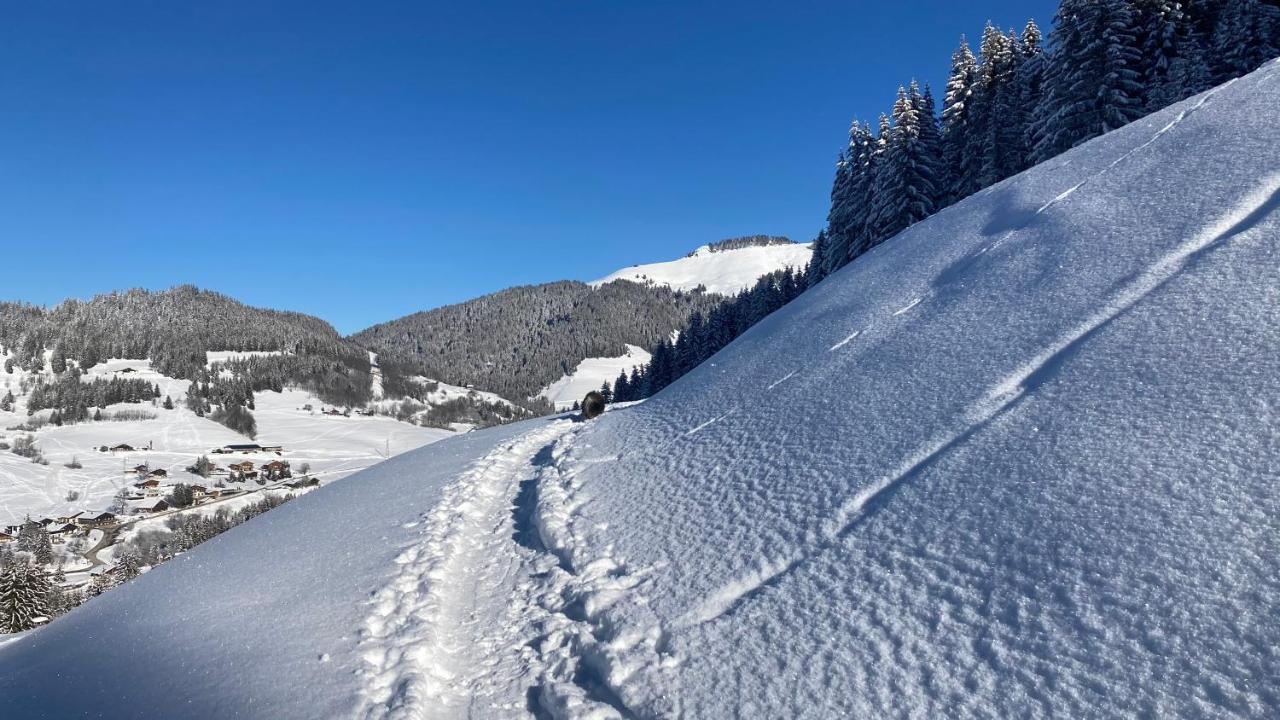 Chalets Savoie Les Chalets D'Heidi Notre-Dame-de-Bellecombe Kültér fotó