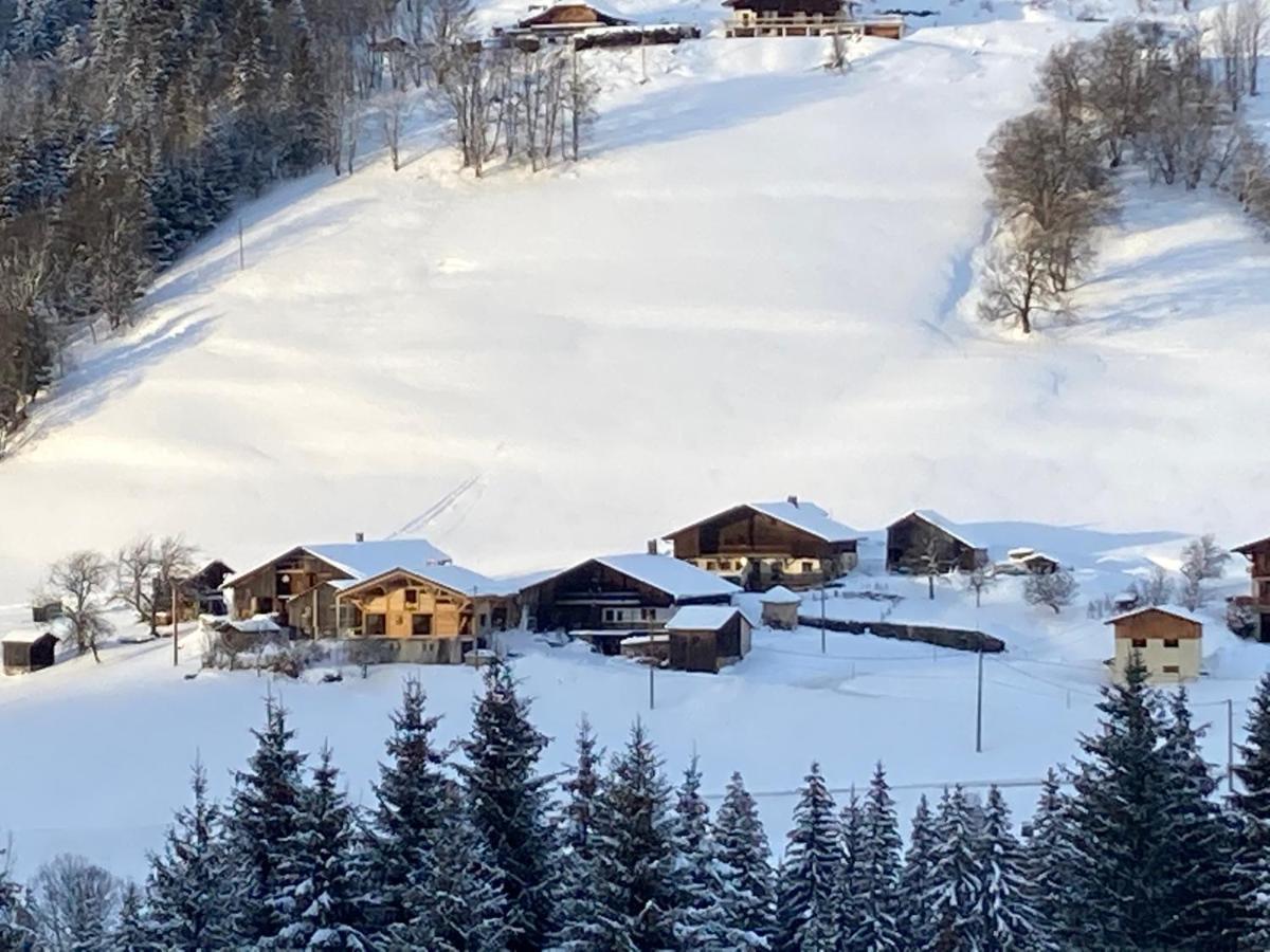 Chalets Savoie Les Chalets D'Heidi Notre-Dame-de-Bellecombe Kültér fotó