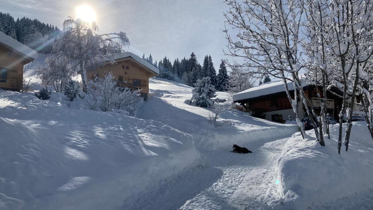 Chalets Savoie Les Chalets D'Heidi Notre-Dame-de-Bellecombe Kültér fotó