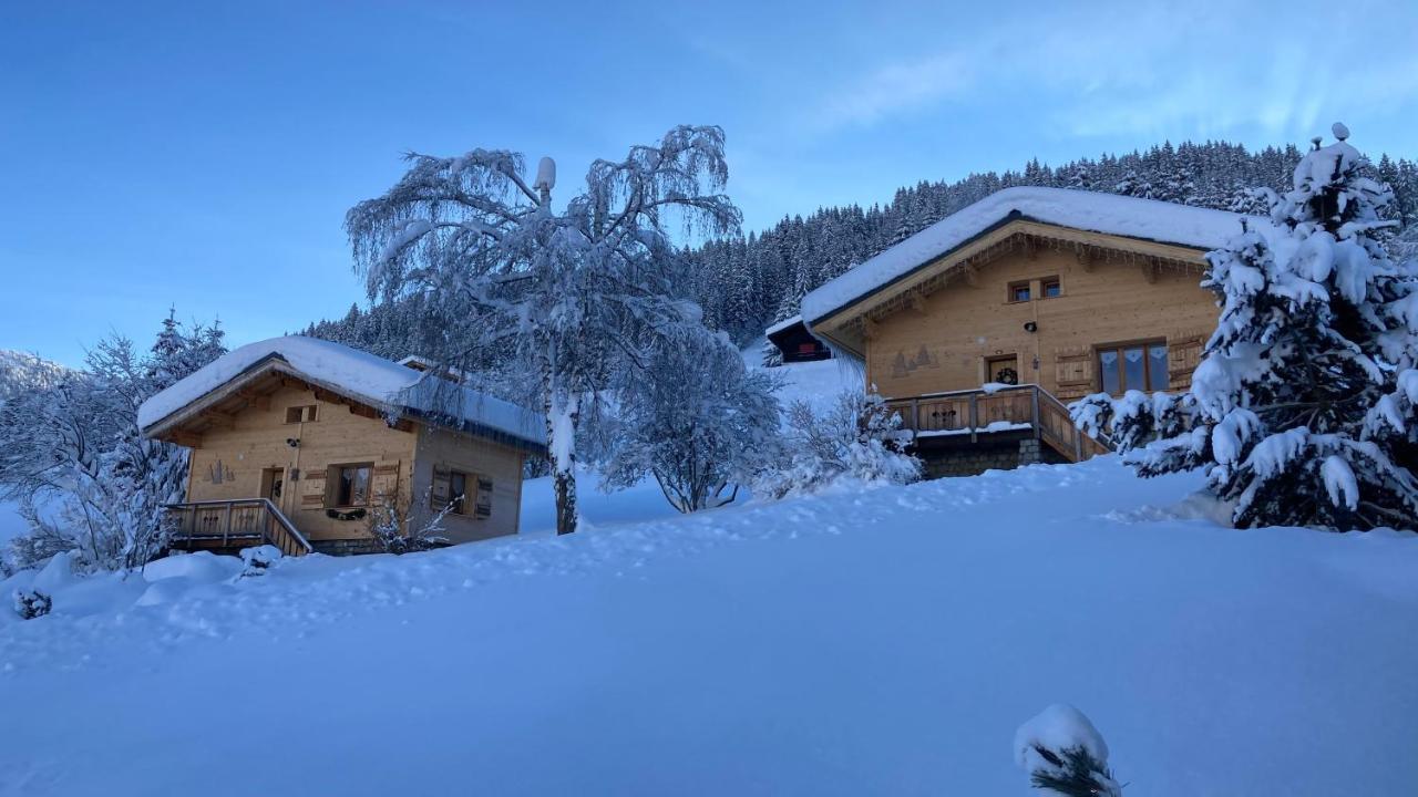 Chalets Savoie Les Chalets D'Heidi Notre-Dame-de-Bellecombe Kültér fotó
