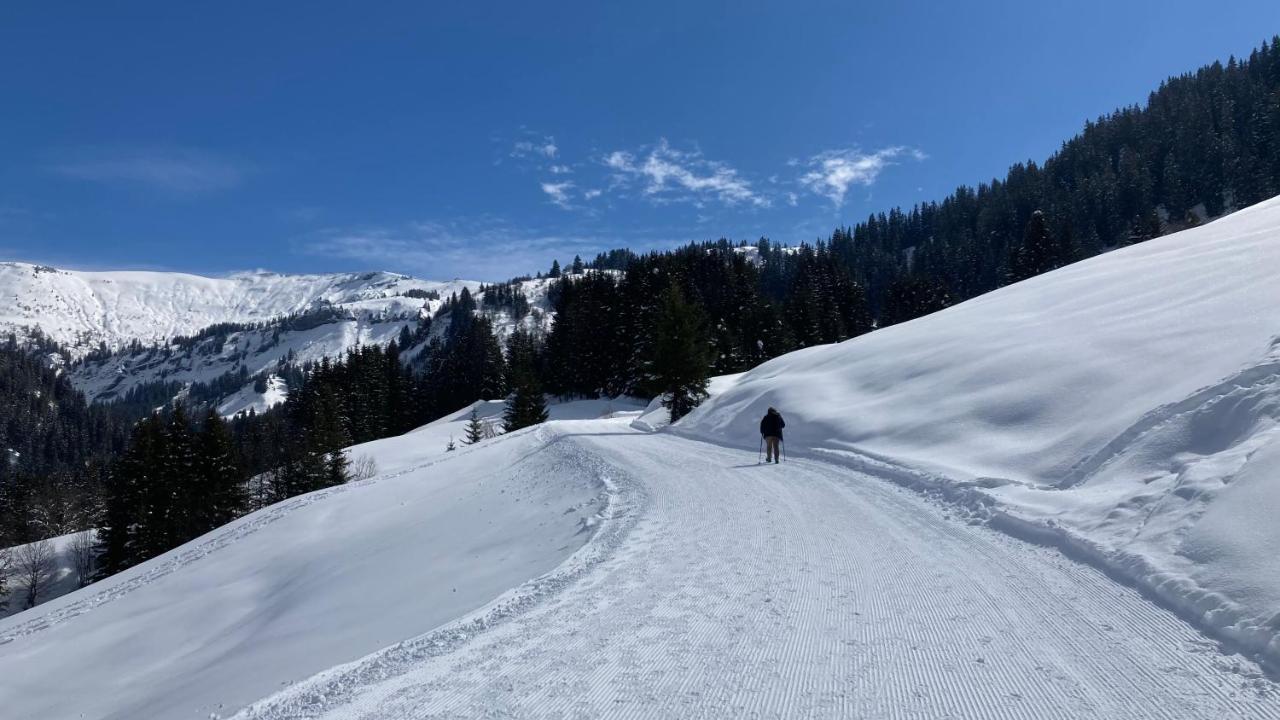 Chalets Savoie Les Chalets D'Heidi Notre-Dame-de-Bellecombe Kültér fotó