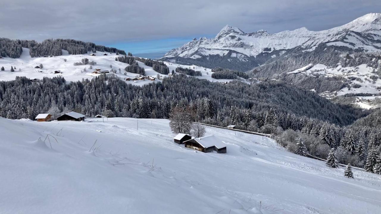 Chalets Savoie Les Chalets D'Heidi Notre-Dame-de-Bellecombe Kültér fotó
