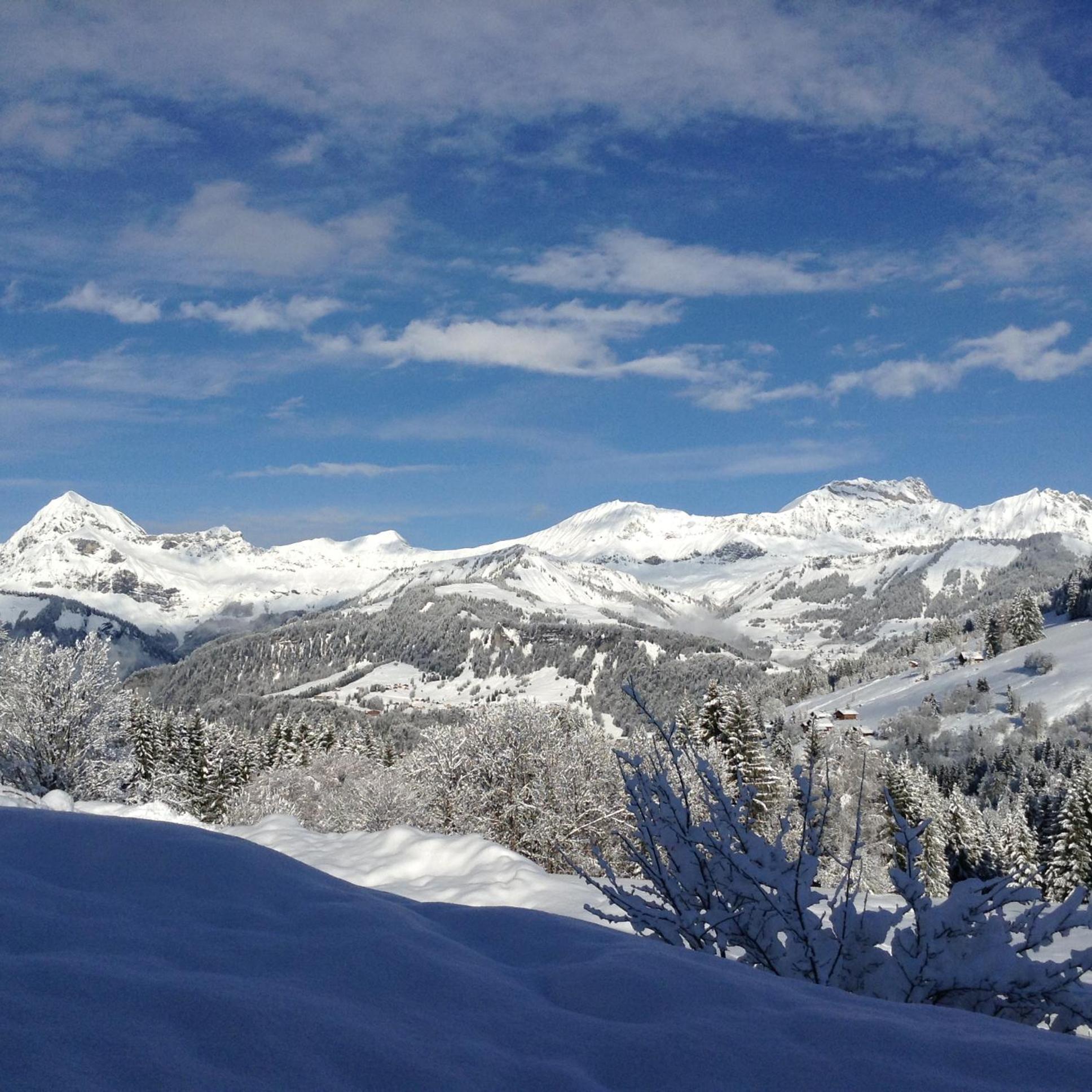 Chalets Savoie Les Chalets D'Heidi Notre-Dame-de-Bellecombe Kültér fotó