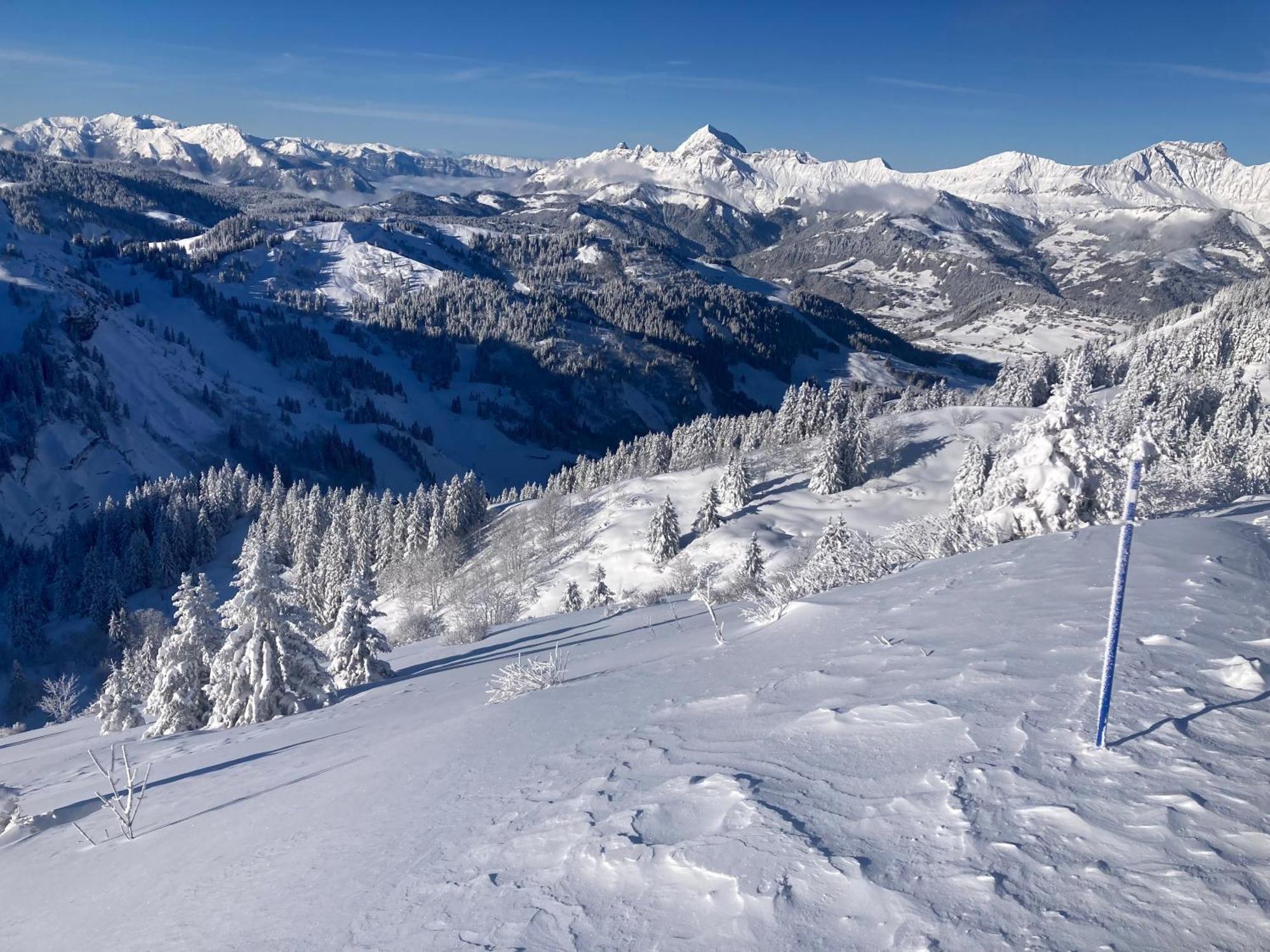 Chalets Savoie Les Chalets D'Heidi Notre-Dame-de-Bellecombe Kültér fotó