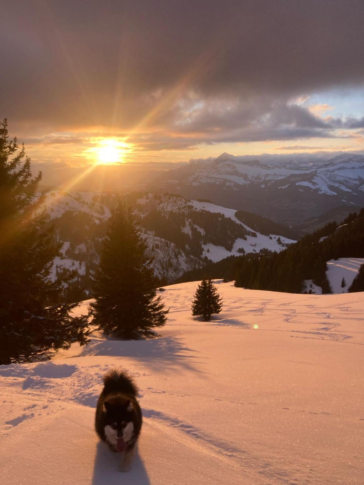 Chalets Savoie Les Chalets D'Heidi Notre-Dame-de-Bellecombe Kültér fotó