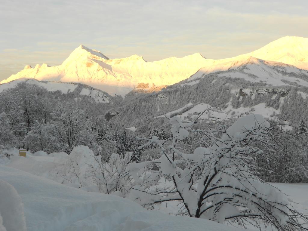 Chalets Savoie Les Chalets D'Heidi Notre-Dame-de-Bellecombe Szoba fotó