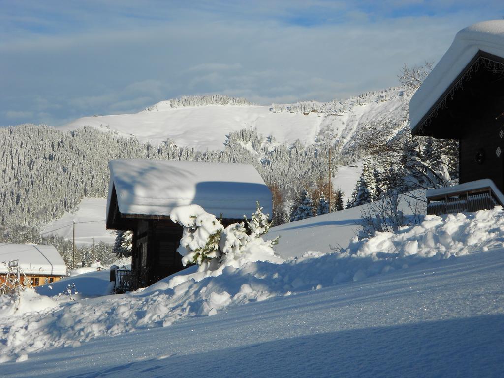 Chalets Savoie Les Chalets D'Heidi Notre-Dame-de-Bellecombe Kültér fotó