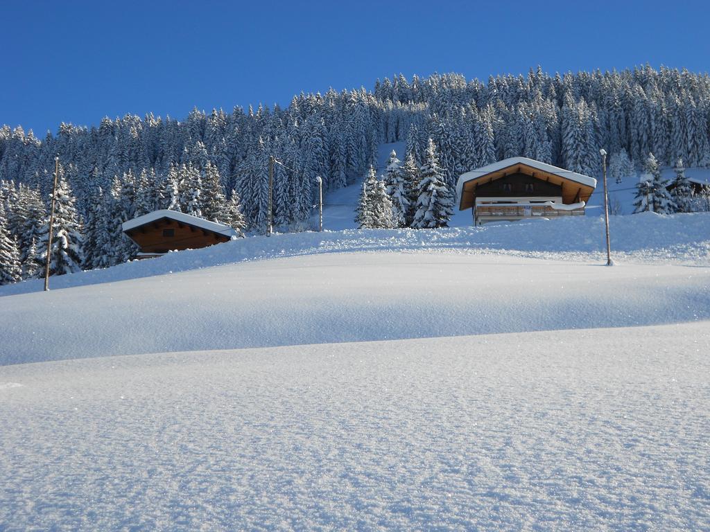 Chalets Savoie Les Chalets D'Heidi Notre-Dame-de-Bellecombe Kültér fotó