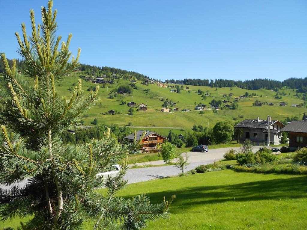 Chalets Savoie Les Chalets D'Heidi Notre-Dame-de-Bellecombe Kültér fotó