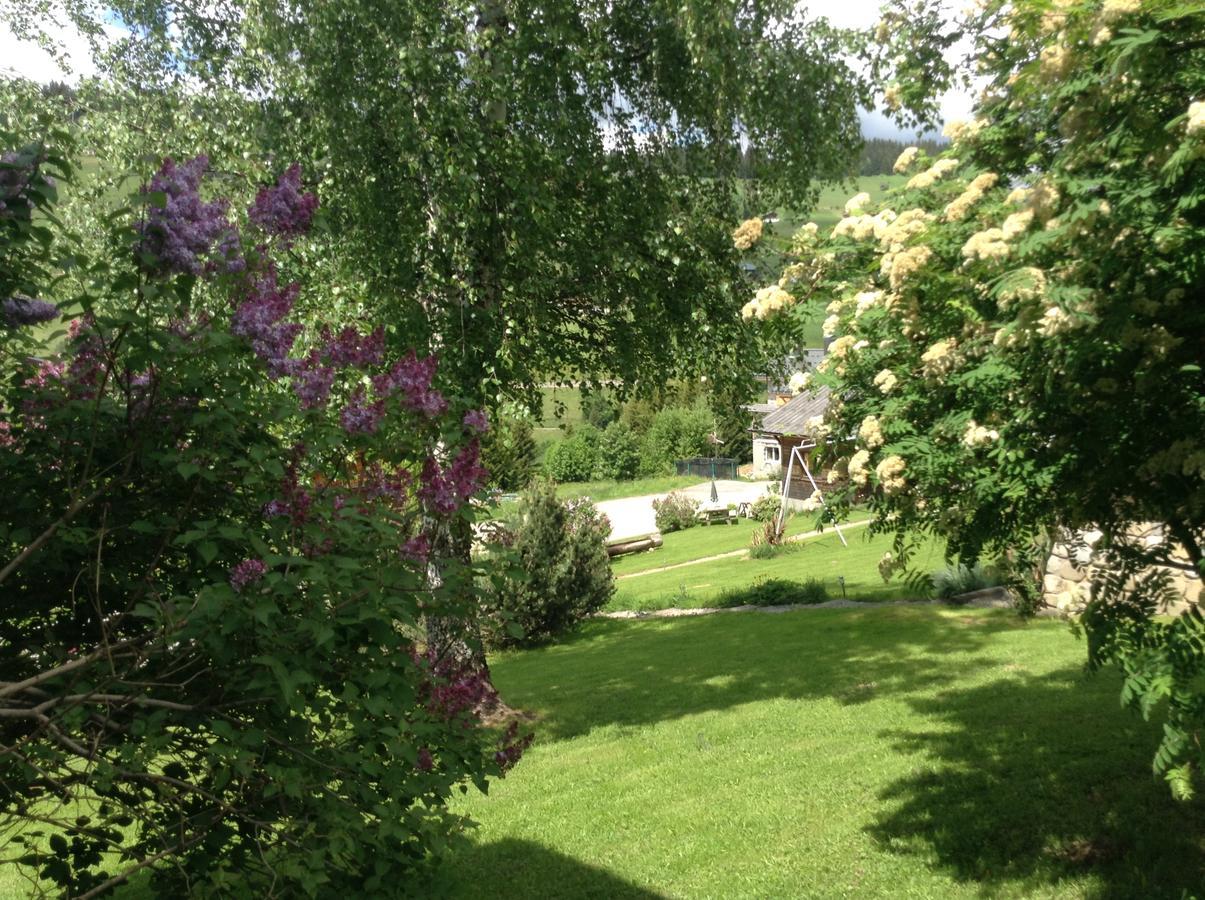 Chalets Savoie Les Chalets D'Heidi Notre-Dame-de-Bellecombe Kültér fotó