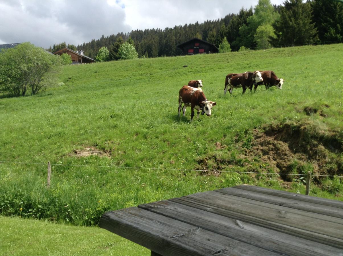 Chalets Savoie Les Chalets D'Heidi Notre-Dame-de-Bellecombe Kültér fotó