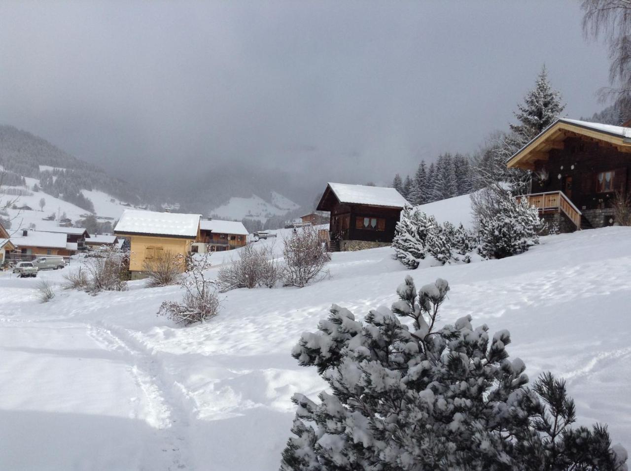 Chalets Savoie Les Chalets D'Heidi Notre-Dame-de-Bellecombe Kültér fotó