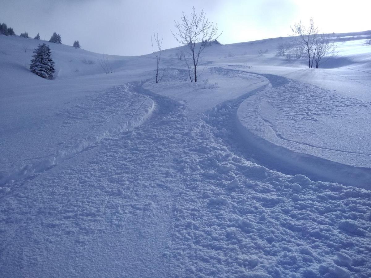 Chalets Savoie Les Chalets D'Heidi Notre-Dame-de-Bellecombe Kültér fotó