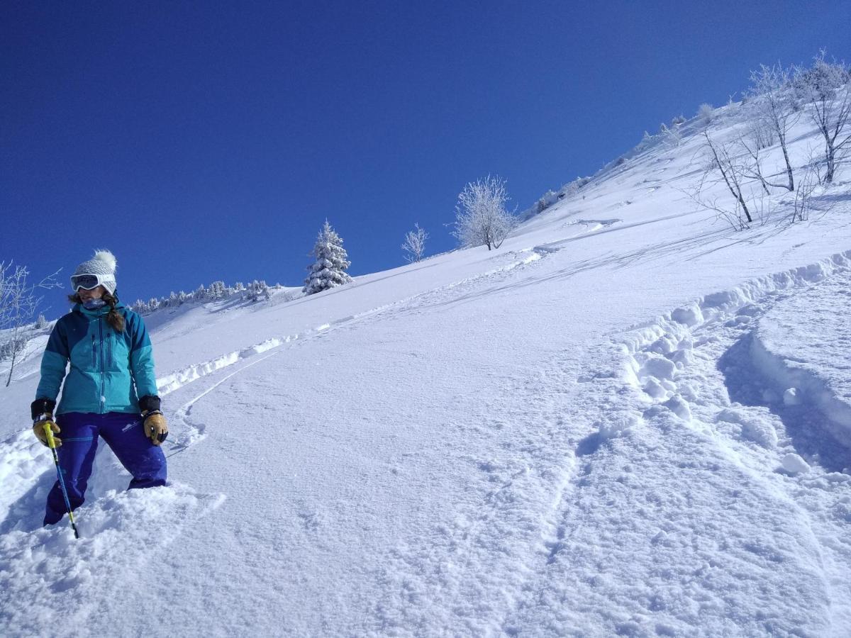 Chalets Savoie Les Chalets D'Heidi Notre-Dame-de-Bellecombe Kültér fotó